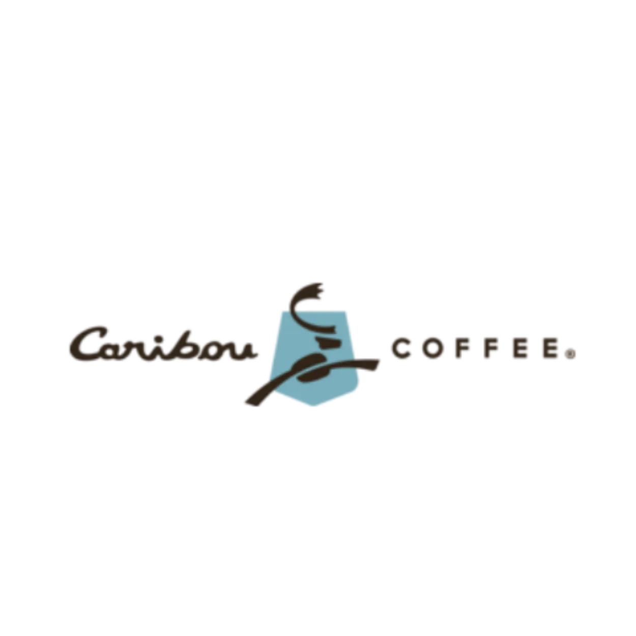 Caribou Coffee_fourlineinteriors